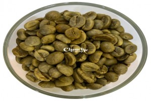 Robusta GR1 S18 Wet-polished from Vietnam